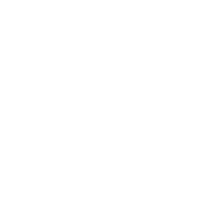 VMD-BMW-logo
