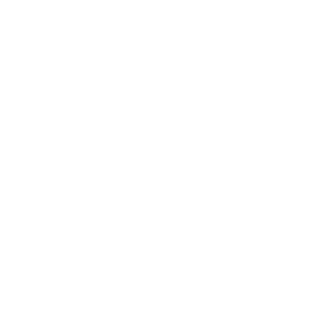 lawBirds-logo